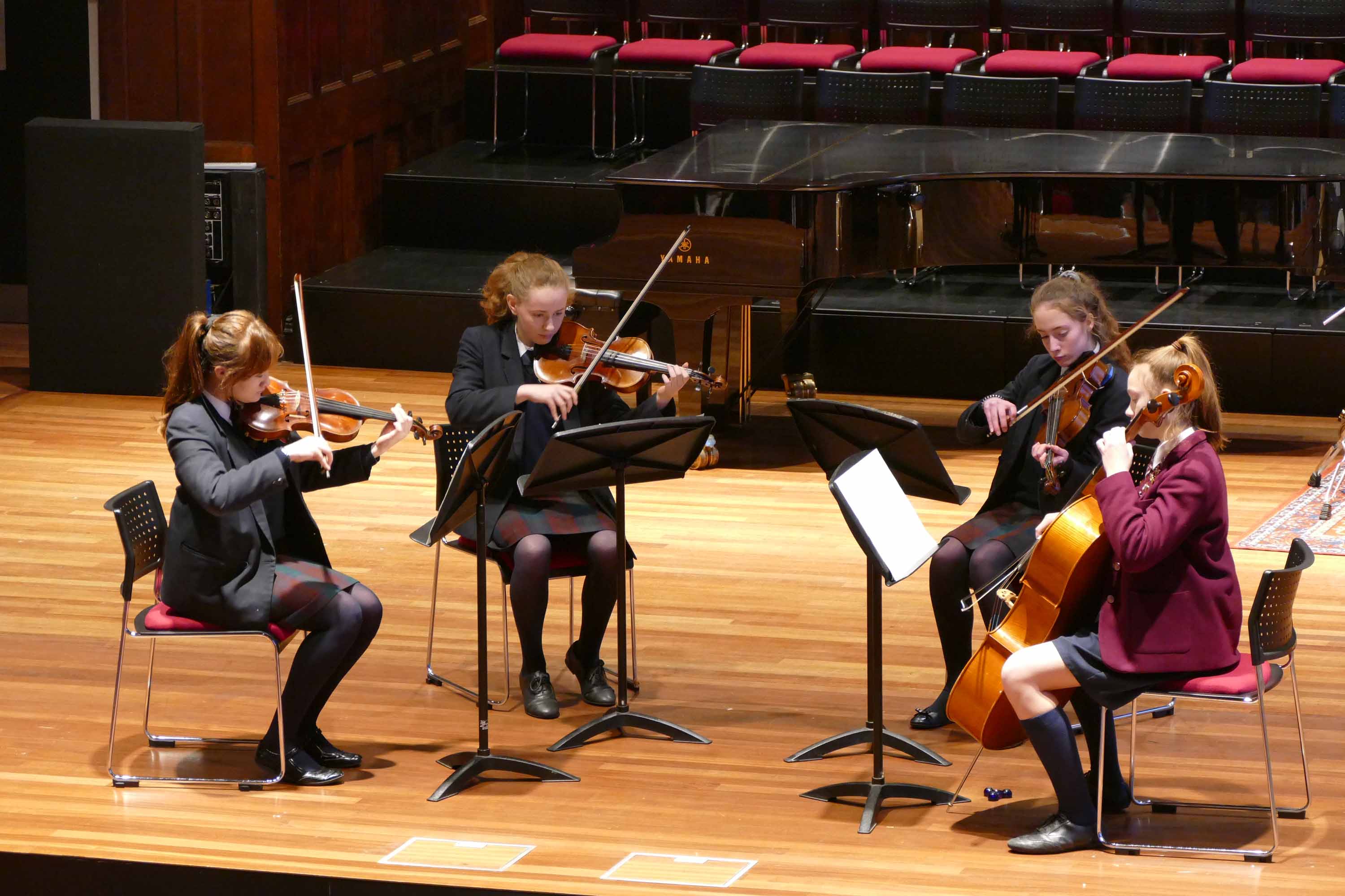String Chamber Workshop and Concert - 2nd February 2018